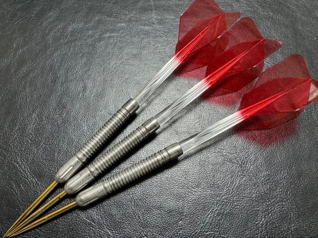 ディーエムシー アナスタシアSP アナスタシア・ドブロミスロワモデル スティール