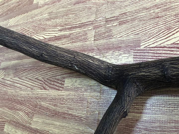 大型インコ 中型インコ用とまり木 自然木 柚