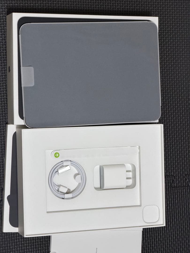 iPad Pro 11 M4 256GB Cellular 純正ケース付き