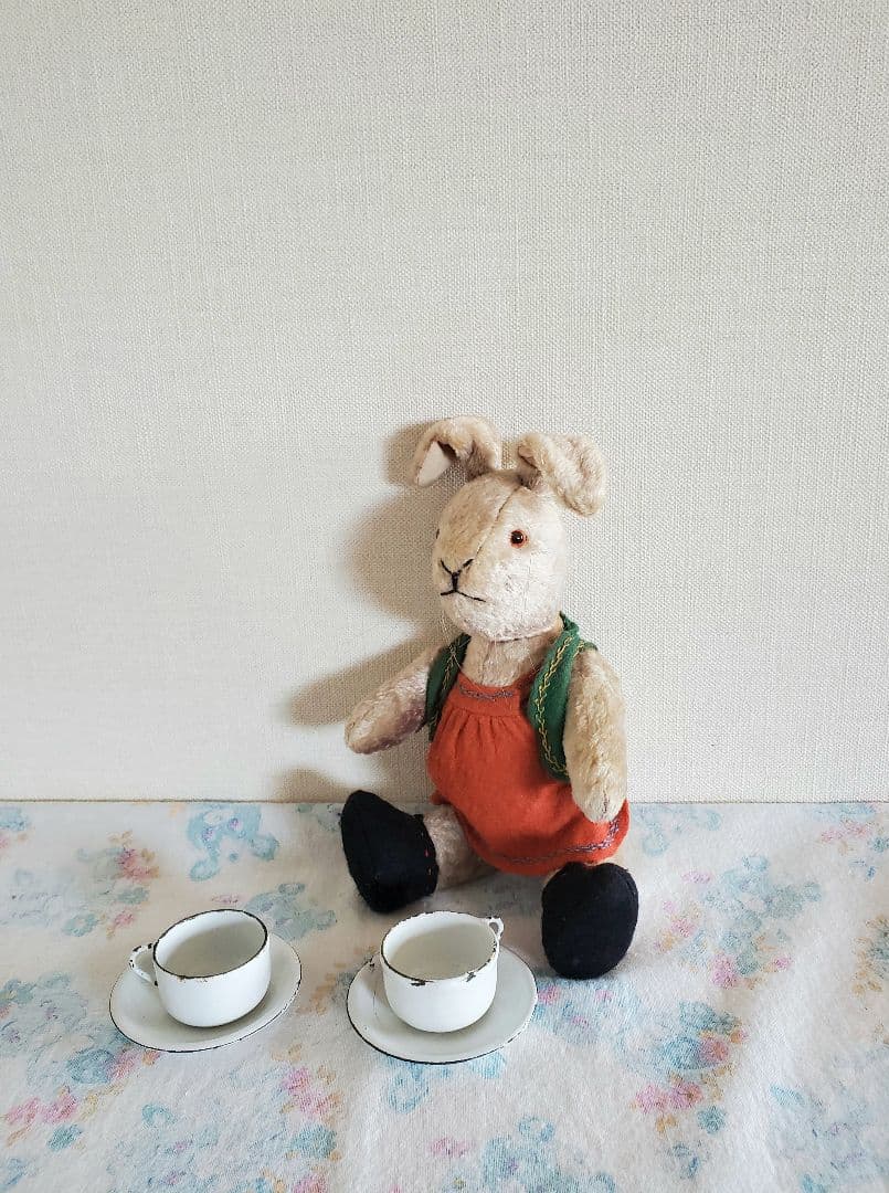 作家　ナオミライト　うさぎ