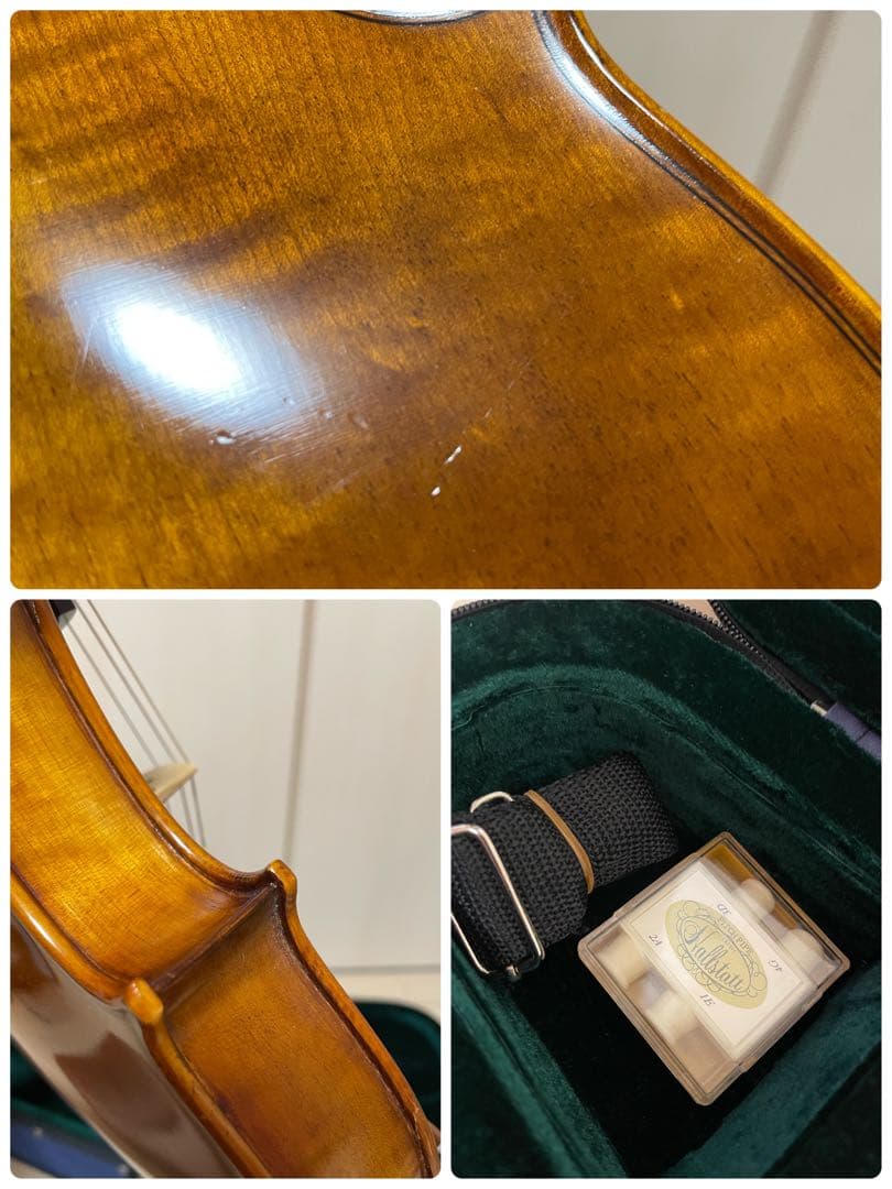 弦楽器 CARLO GIORDANO VS-2 4/4