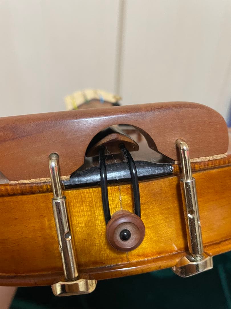 弦楽器 CARLO GIORDANO VS-2 4/4