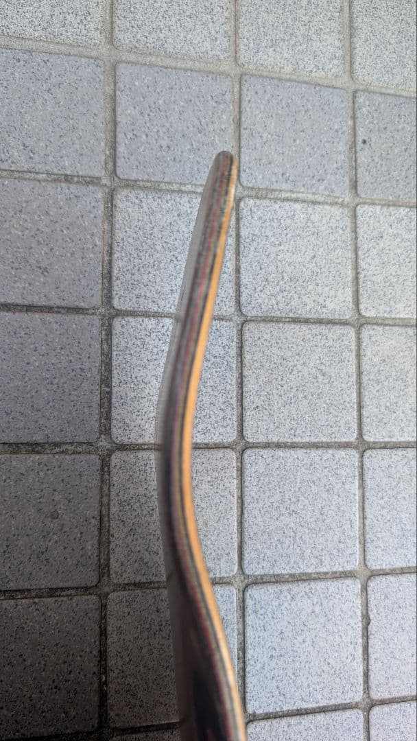 アーバースケートボード 39 / Arbor Axel Serrat