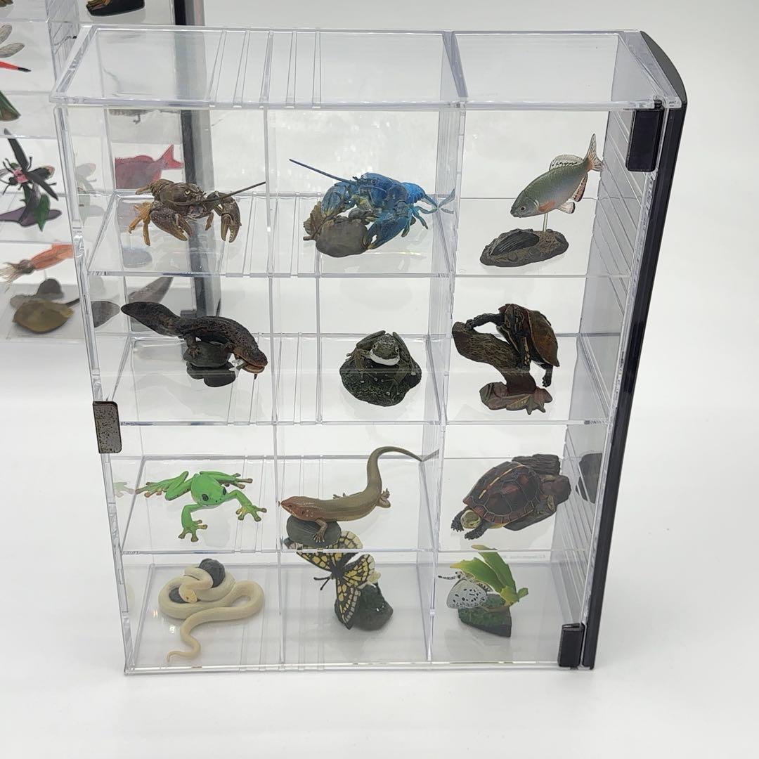 希少品 小学館 週刊 日本の天然記念物 52体セット まとめ売り