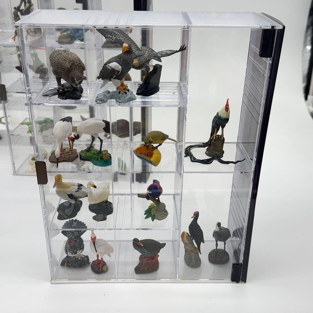 希少品 小学館 週刊 日本の天然記念物 52体セット まとめ売り