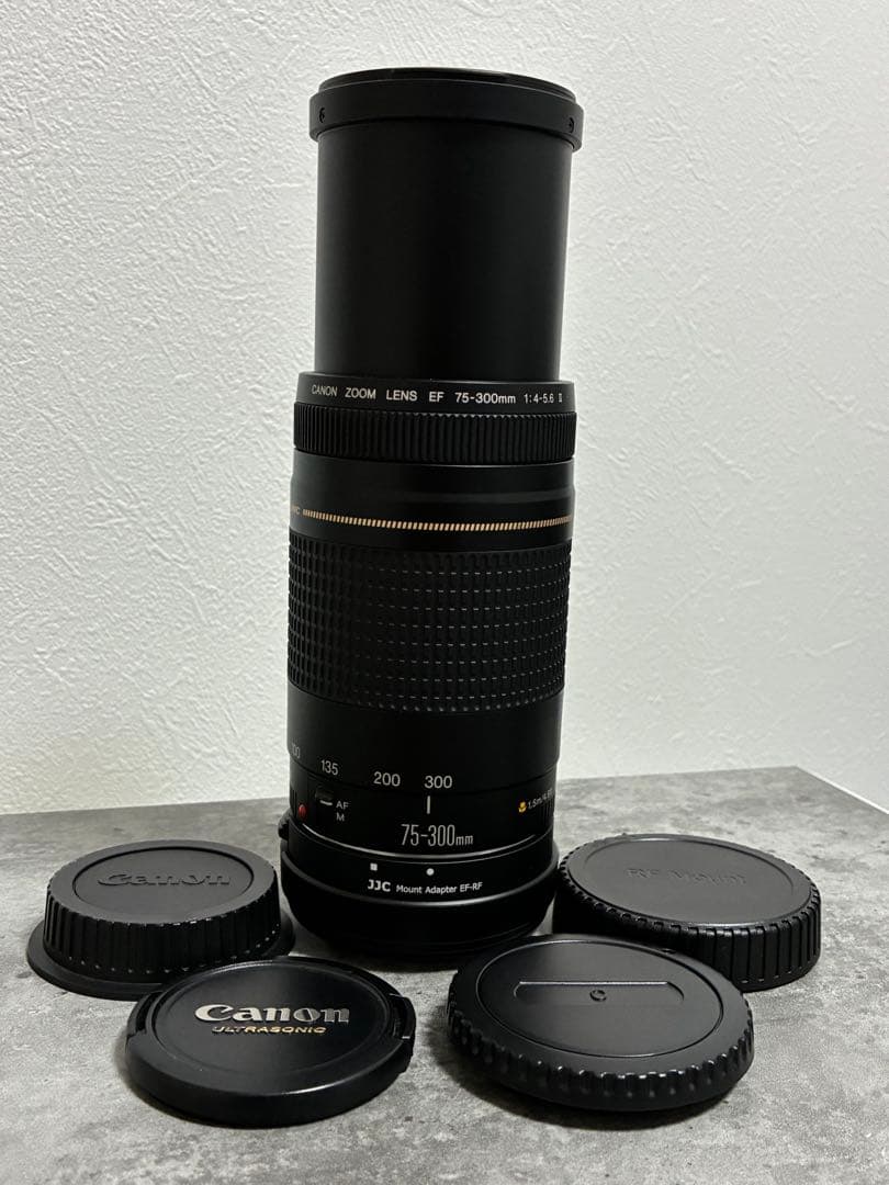 ⭐️美品⭐️Canon EFS 75-300 II & EF-EOS R アダプター