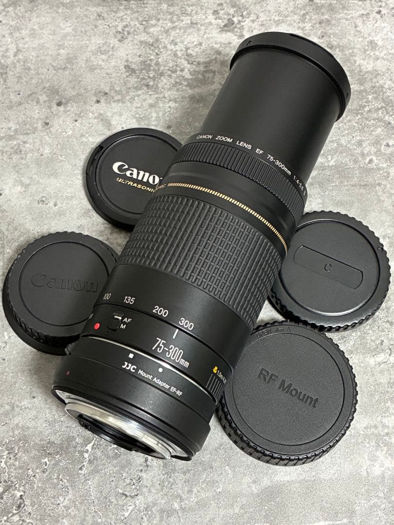 ⭐️美品⭐️Canon EFS 75-300 II & EF-EOS R アダプター
