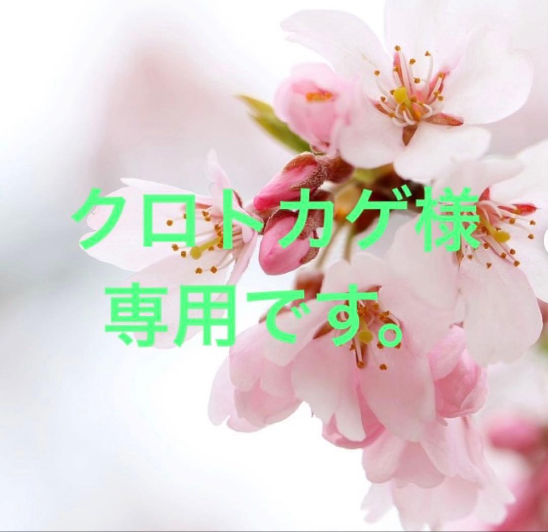 クロトカゲです