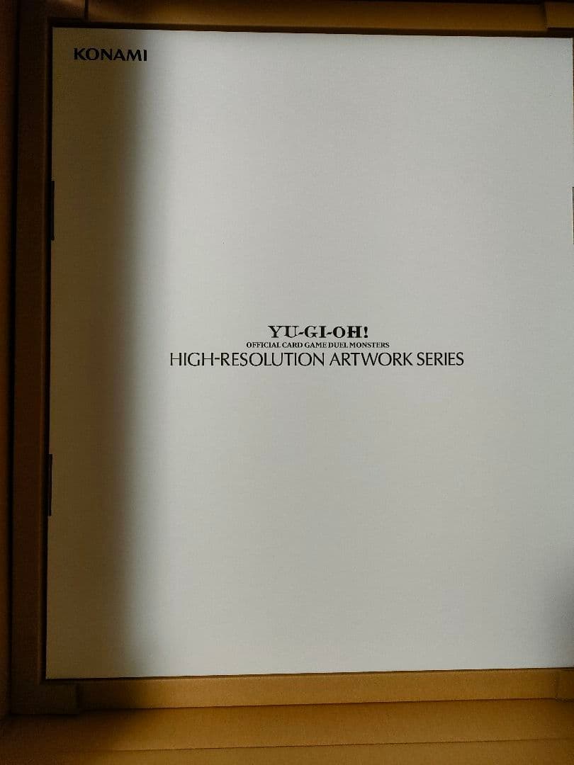 HIGH-RESOLUTION ARTWORK デストロイフェニックスガイ