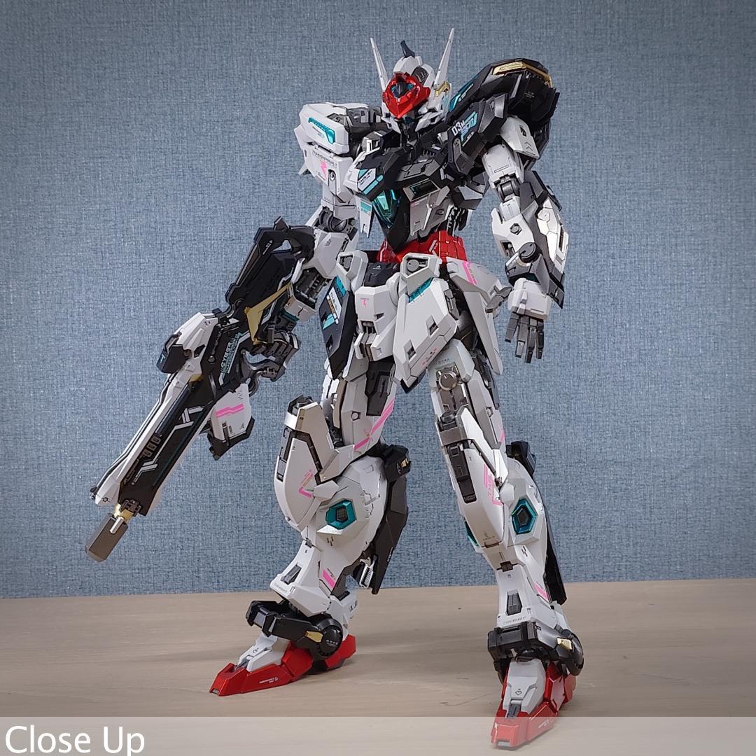 THUNDERBOLT DEVILFISH 1/100 IN ERA+ 完成品