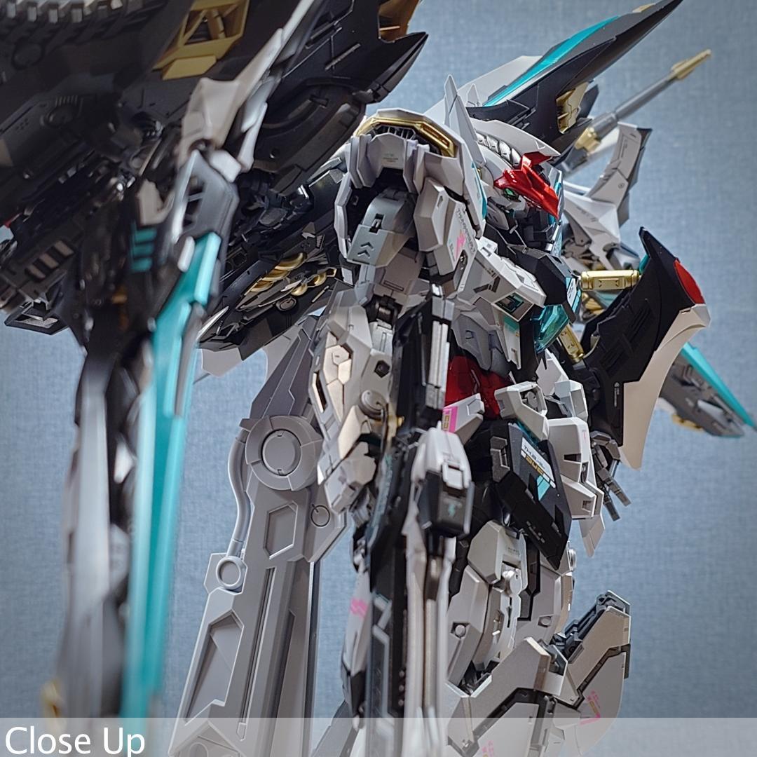 THUNDERBOLT DEVILFISH 1/100 IN ERA+ 完成品