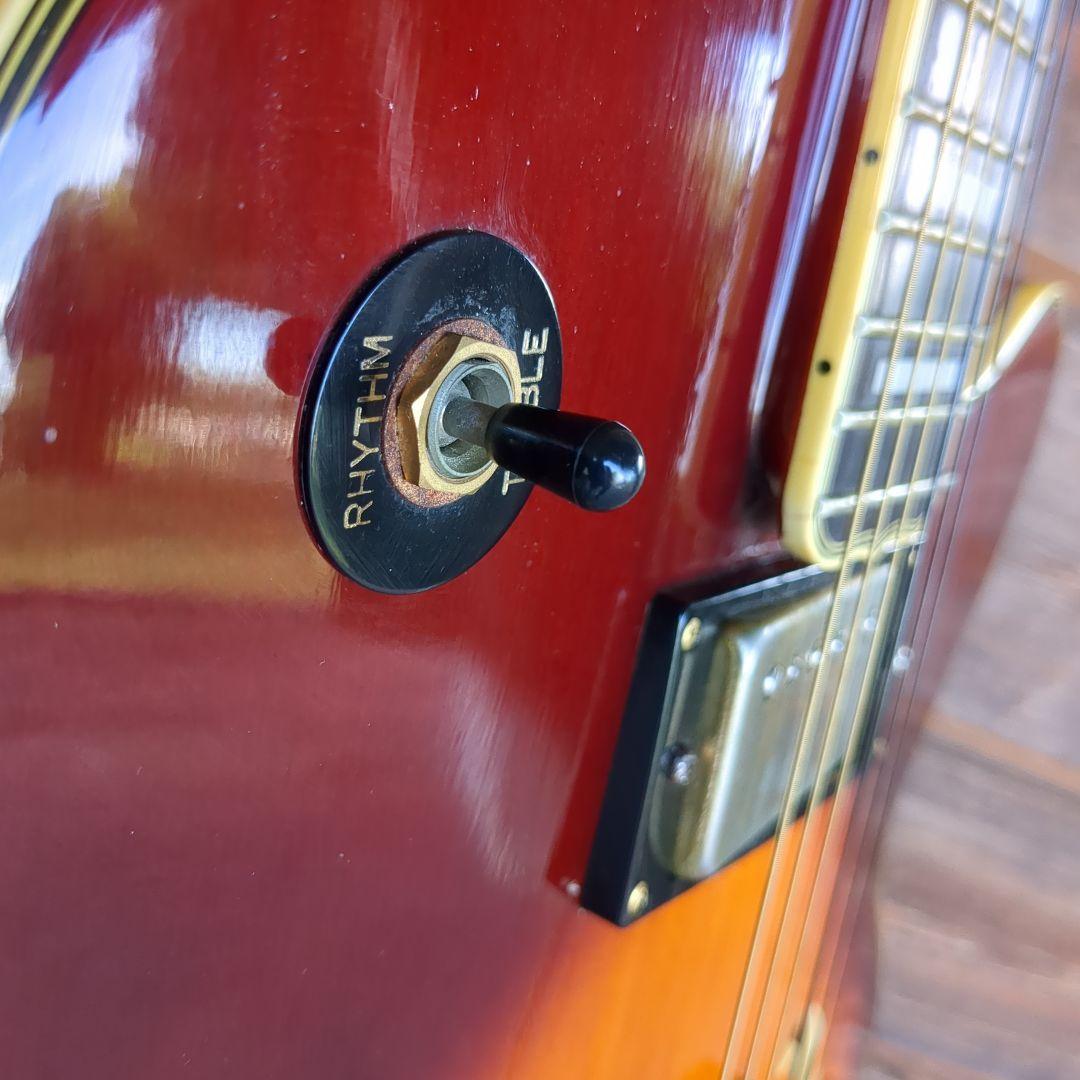 Epiphone joepass モデルフルアコースティックギター ケース付