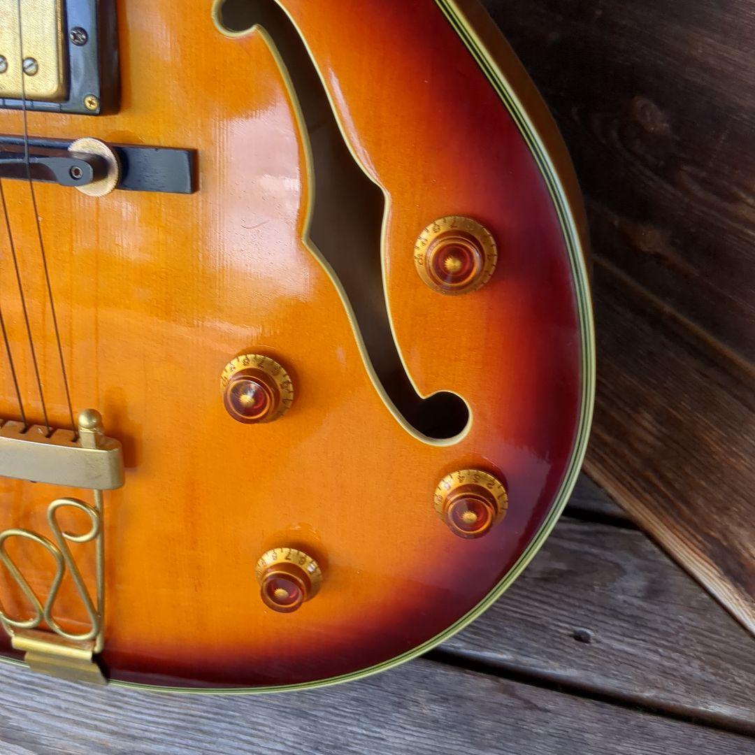 Epiphone joepass モデルフルアコースティックギター ケース付