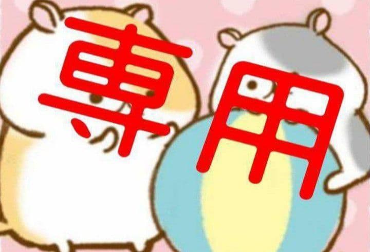 リアルカピバラ