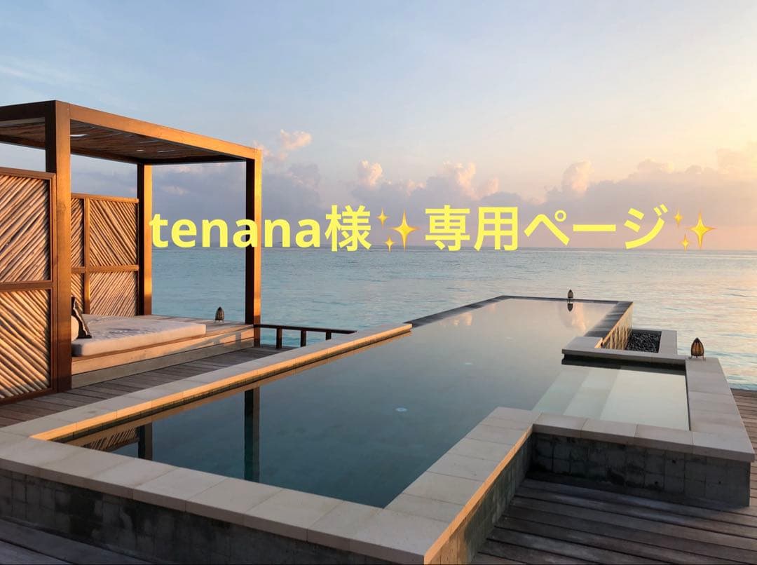 定番　アレクサンドルドゥパリ TIMELESS カチューシャ　【保管袋付】