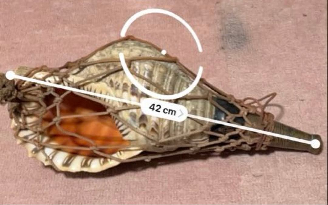 貝殻製の網掛けデザイン 42cm