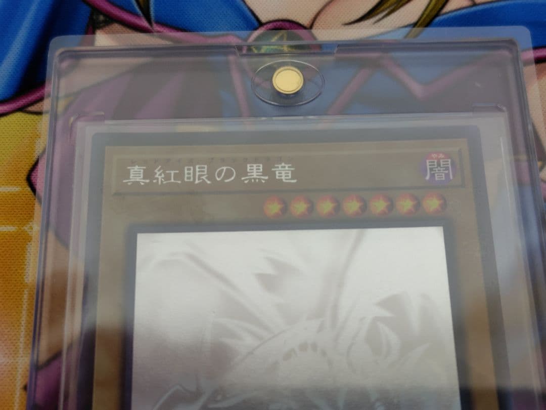 恵*丸様 ブルーアイズオルタナティブホワイトドラゴン・レドアイズ ホロ 各１枚