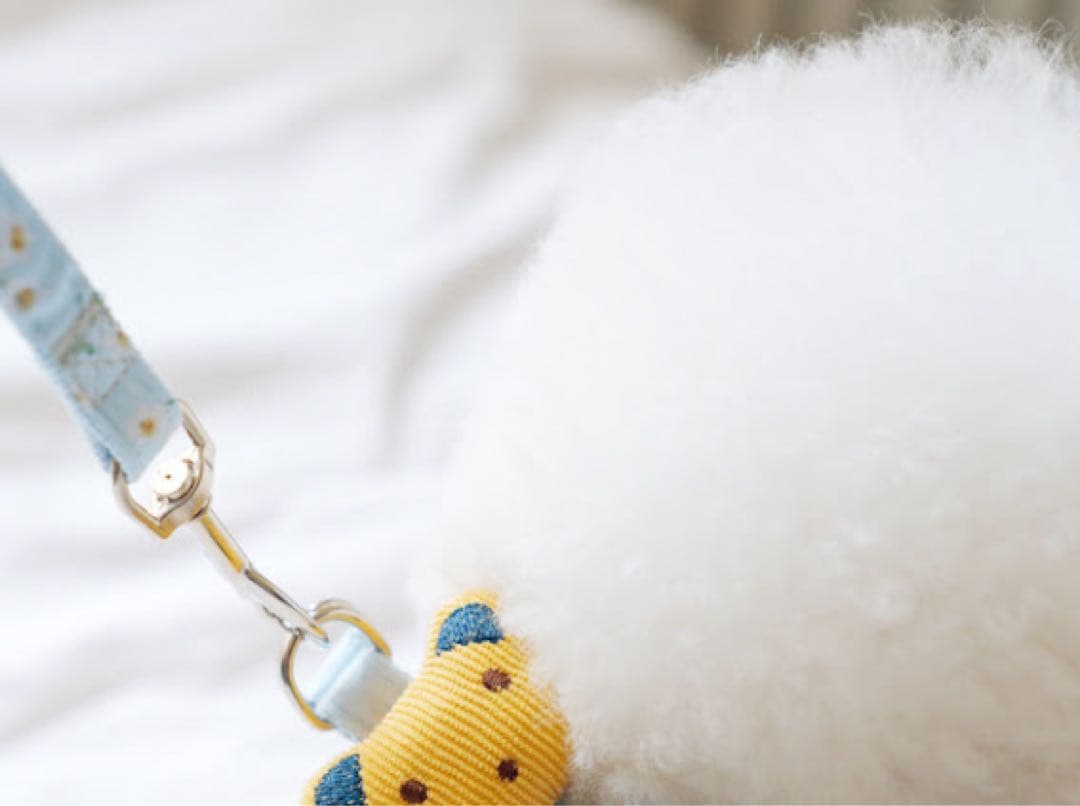 ☆新品☆ 犬用 くまちゃん付き ハーネスセット 花柄 ライトブルー