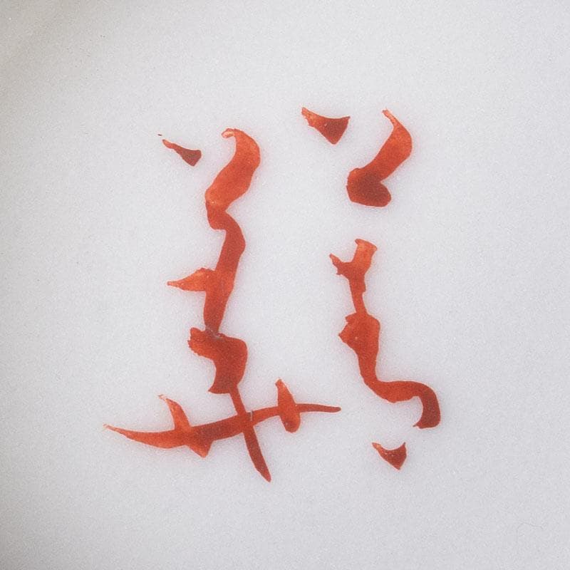 九谷焼　須田青華造　呉須赤絵写し　福字花文　煎茶碗　五客　共箱　M　R9018