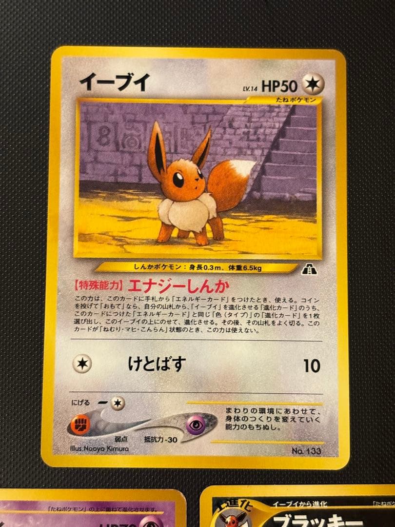 旧裏　極美品　リザードン　ピチュー　ブラッキー　エーフィ　プレミアムファイル2