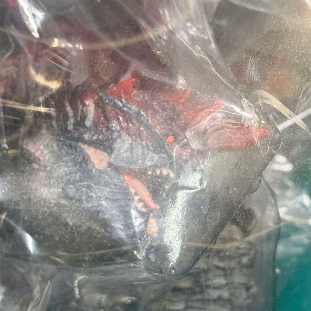 モンスターハンター　カプコン クリエイターズモデル 燼滅刃ディノバルド　未開封