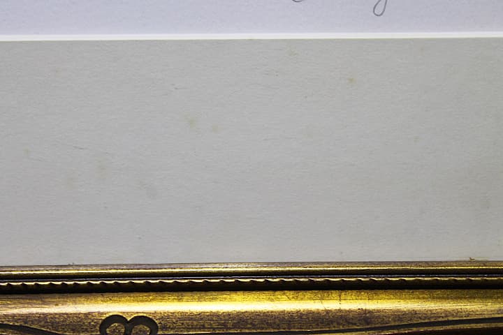 カシニョール 【大きなあじさい】 リトグラフ