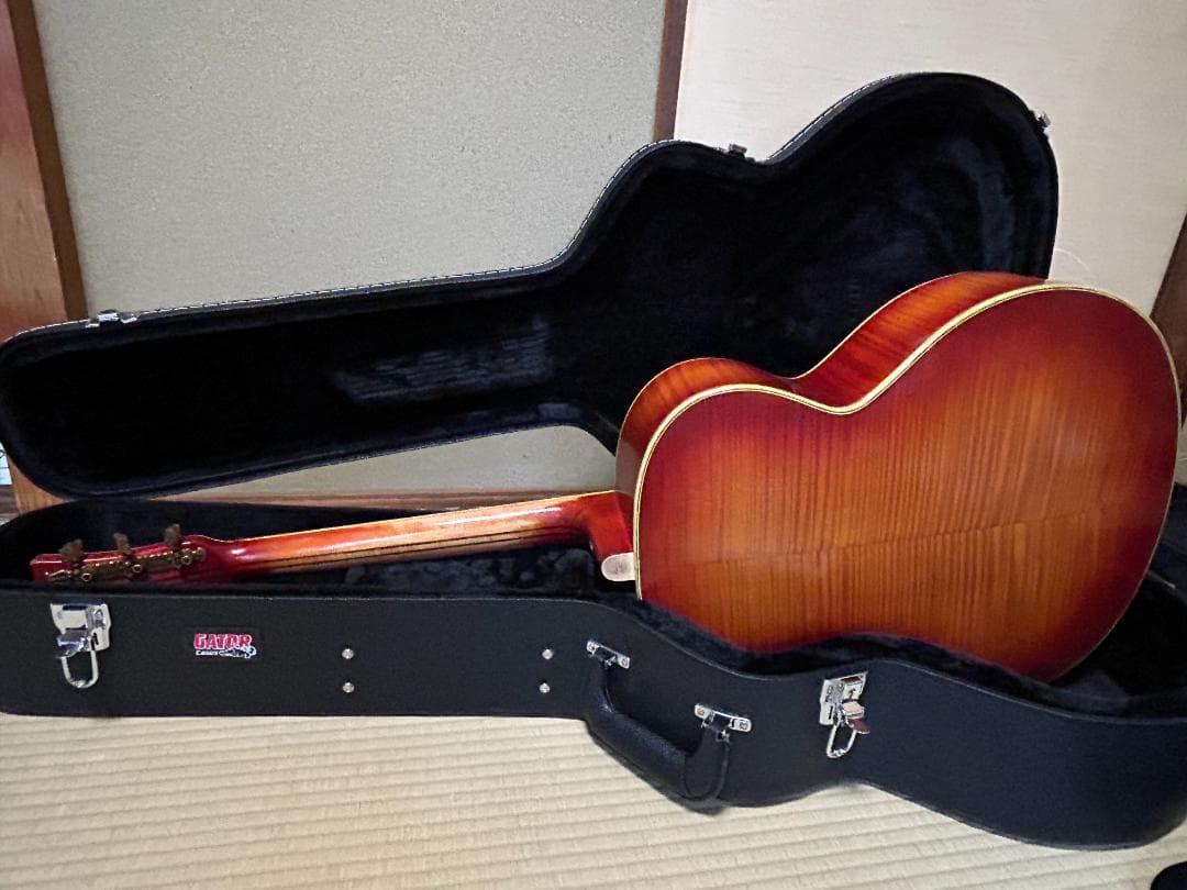 激レア 希少 カールヘフナー　496　アコギ ヴィンテージ