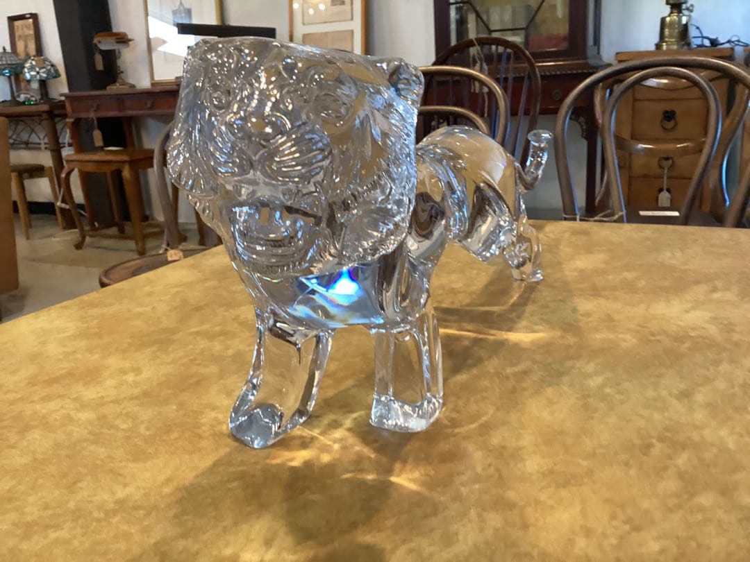 ドーム　クリスタル　ライオン