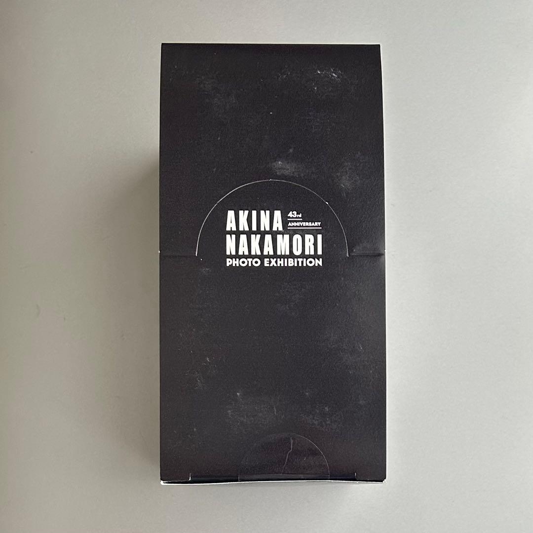 レイ様　中森明菜　アクリルキーホルダー 全20種大阪限定　コンプリートジャケット