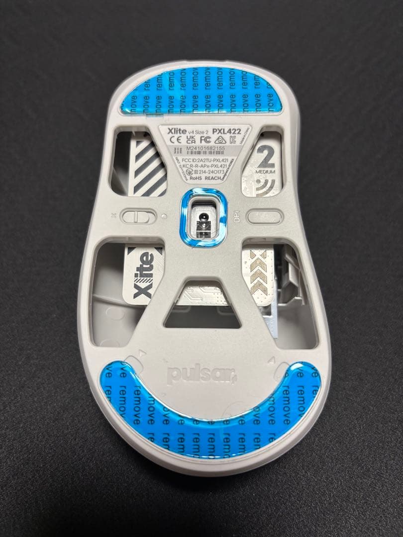 pulsar Xlite SIZE2 専用