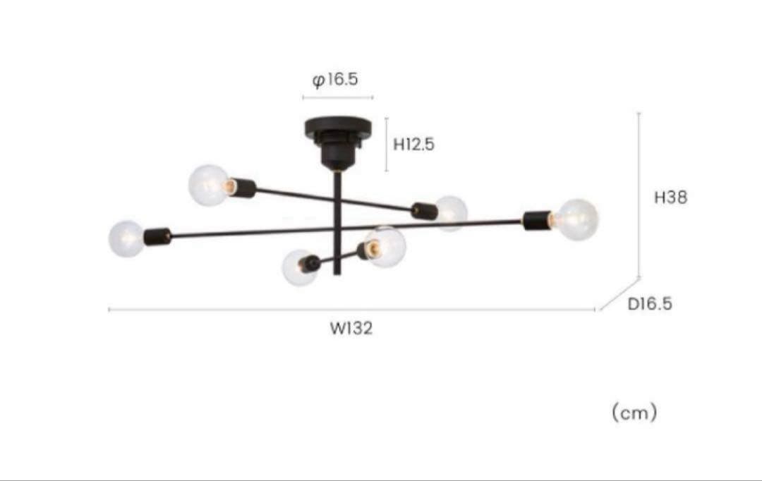 インターフォルム Astre アストル ブラック　シーリングライト　電球付属