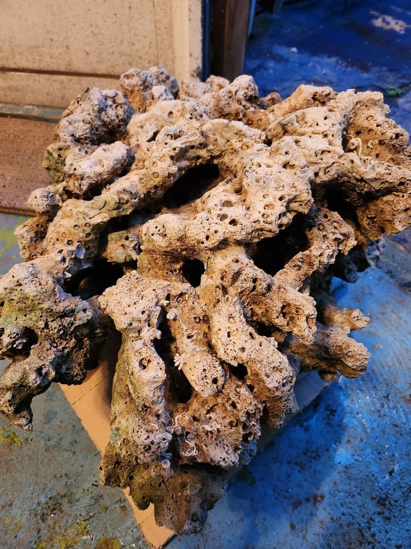 ライブロック　2点　迫力満点　引き取り大分市