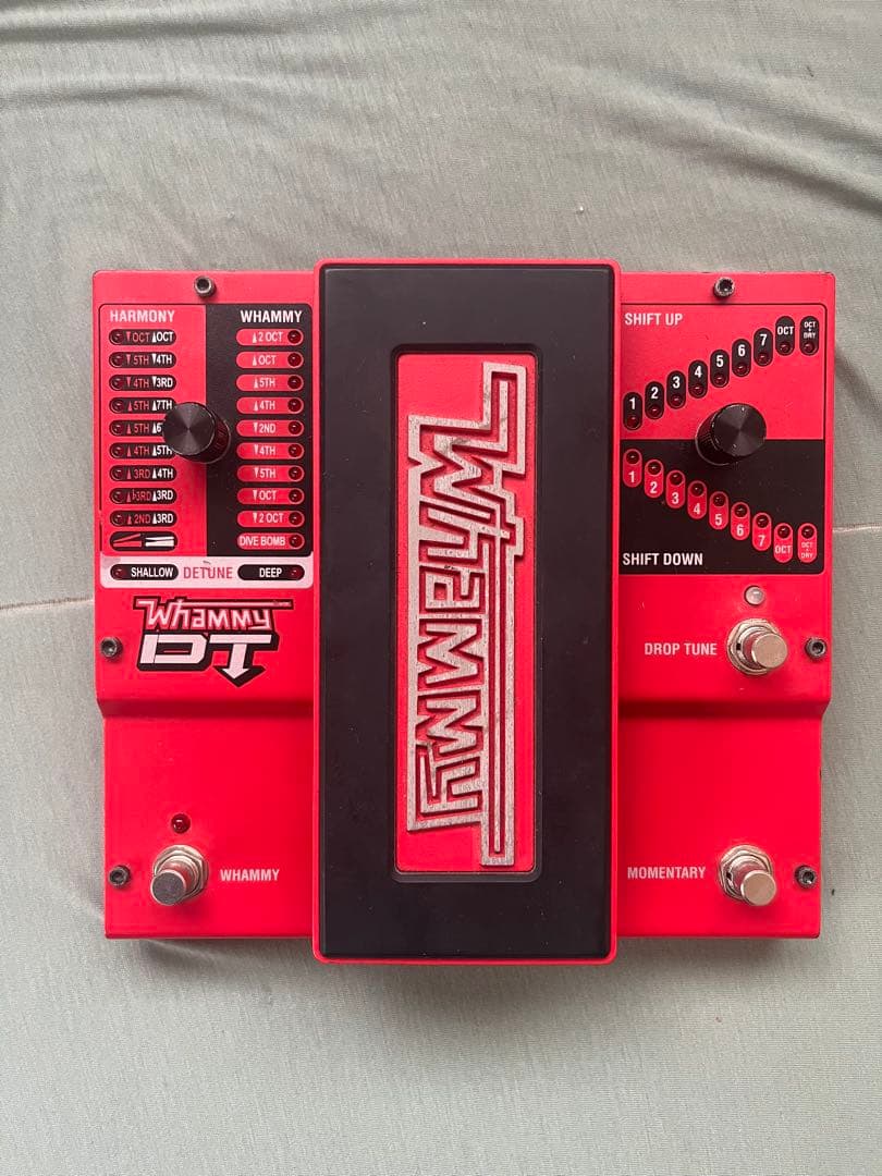 DegiTech Whammy DT, ACアダプタ