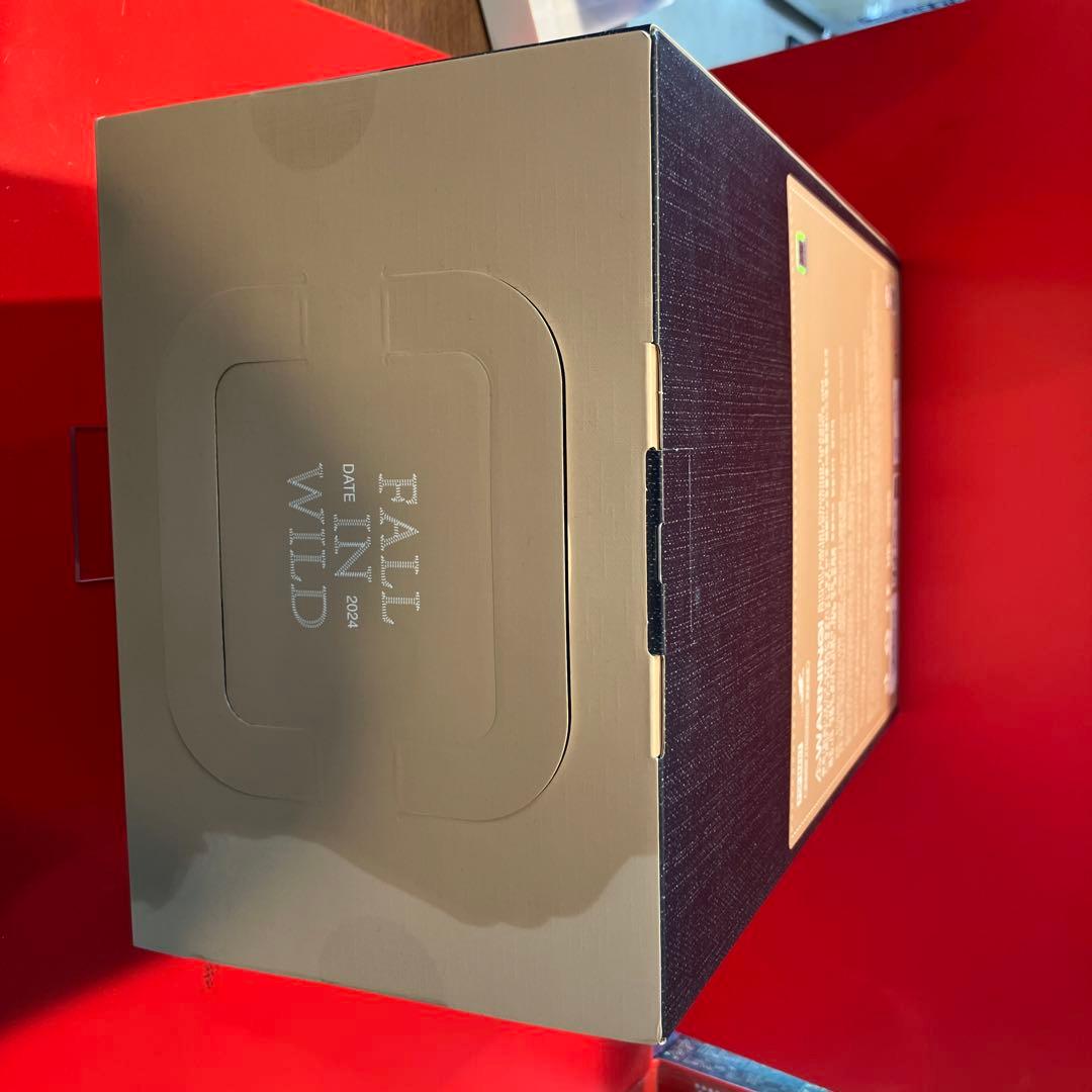 ★ラブブ　FALL IN WILD POP MART