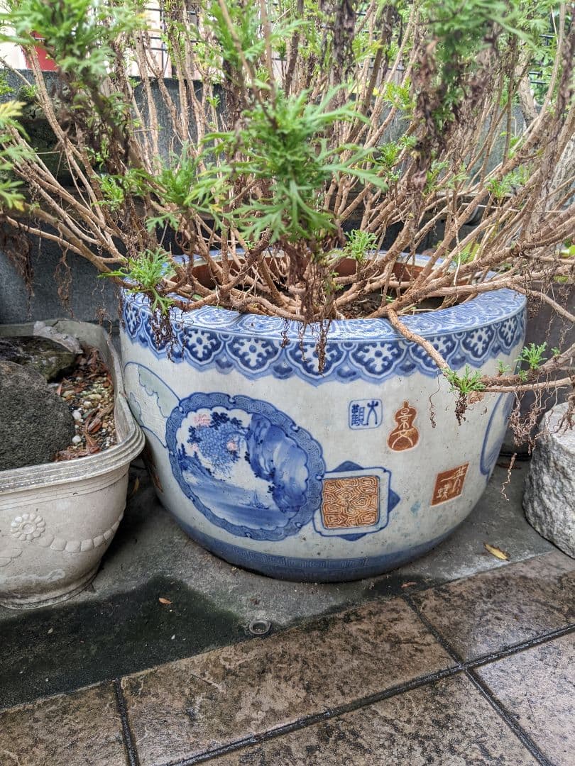 伊万里焼　火鉢　染付窓絵　手渡し　直接取引