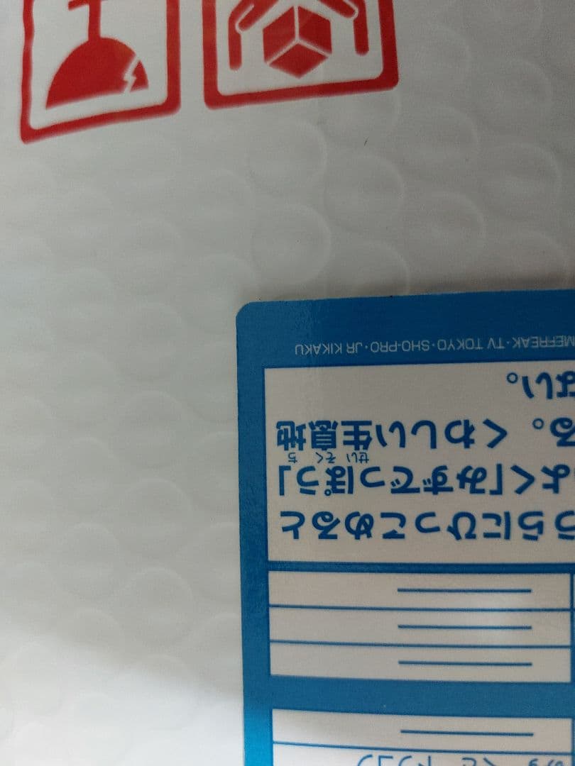 ゼニガメ meiji 希少品