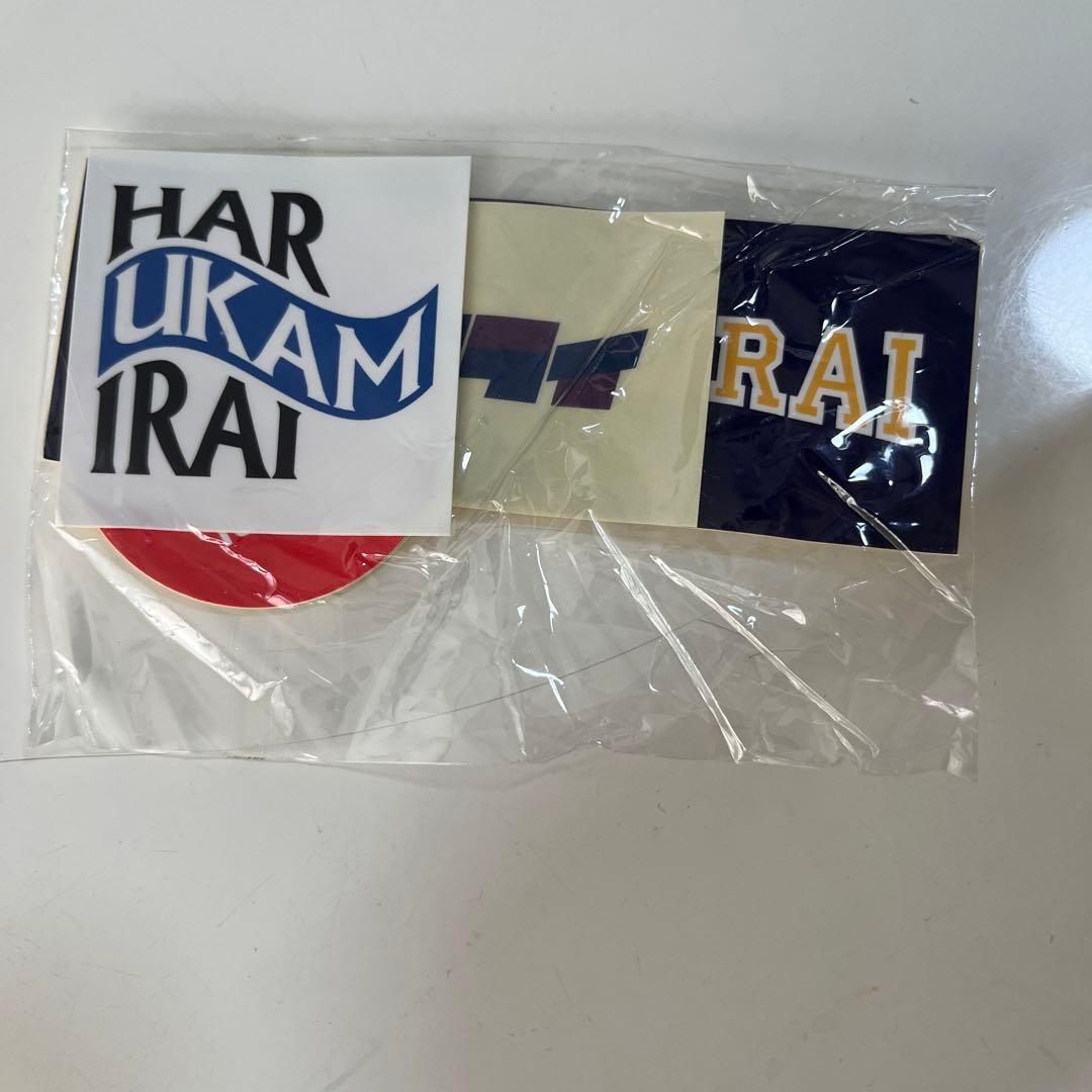 ハルカミライ DVD 渋谷 クラブクアトロ ワンマン　おまけあり