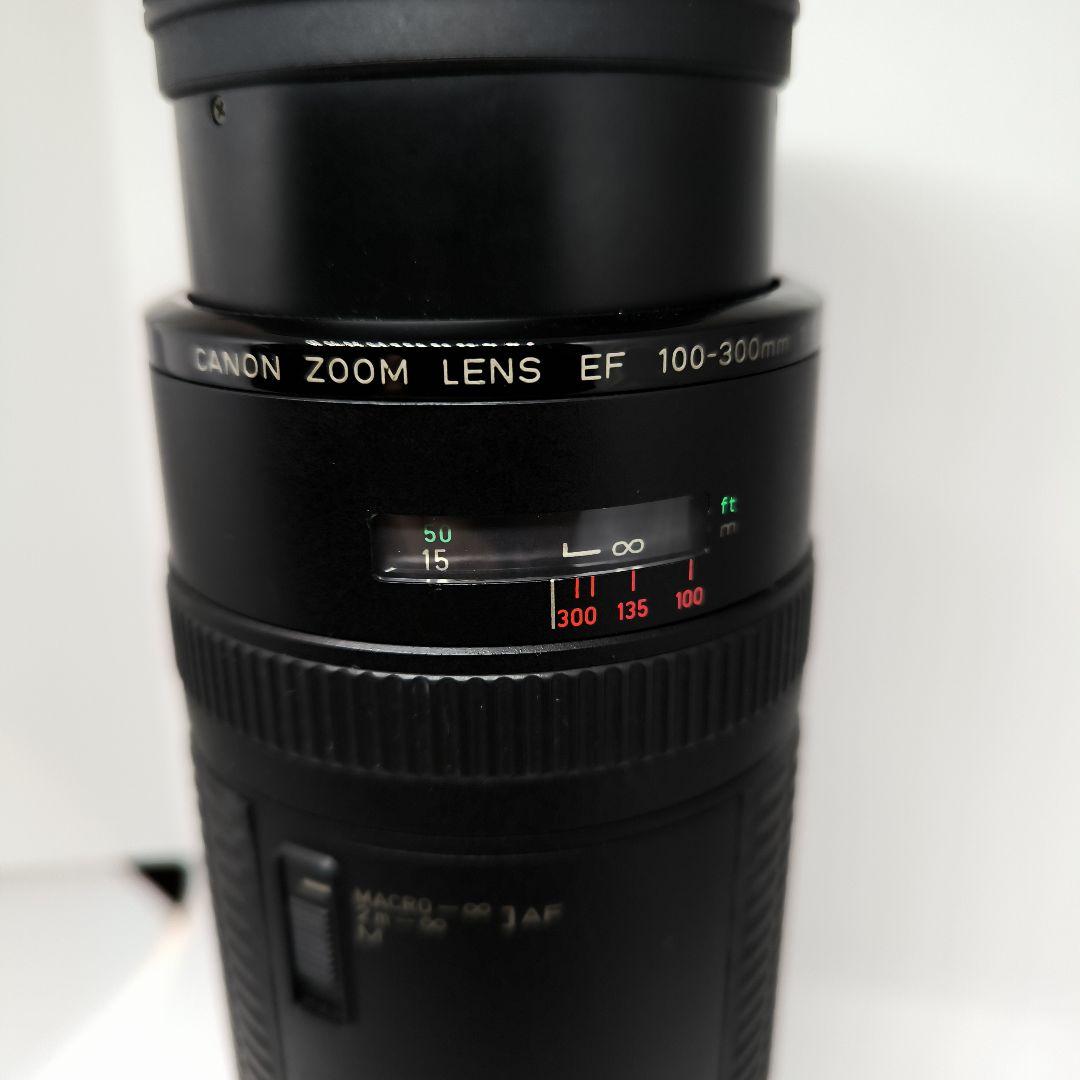 遠くの風景も人物もOK✨Canon EF 100-300 超望遠レンズ キヤノン