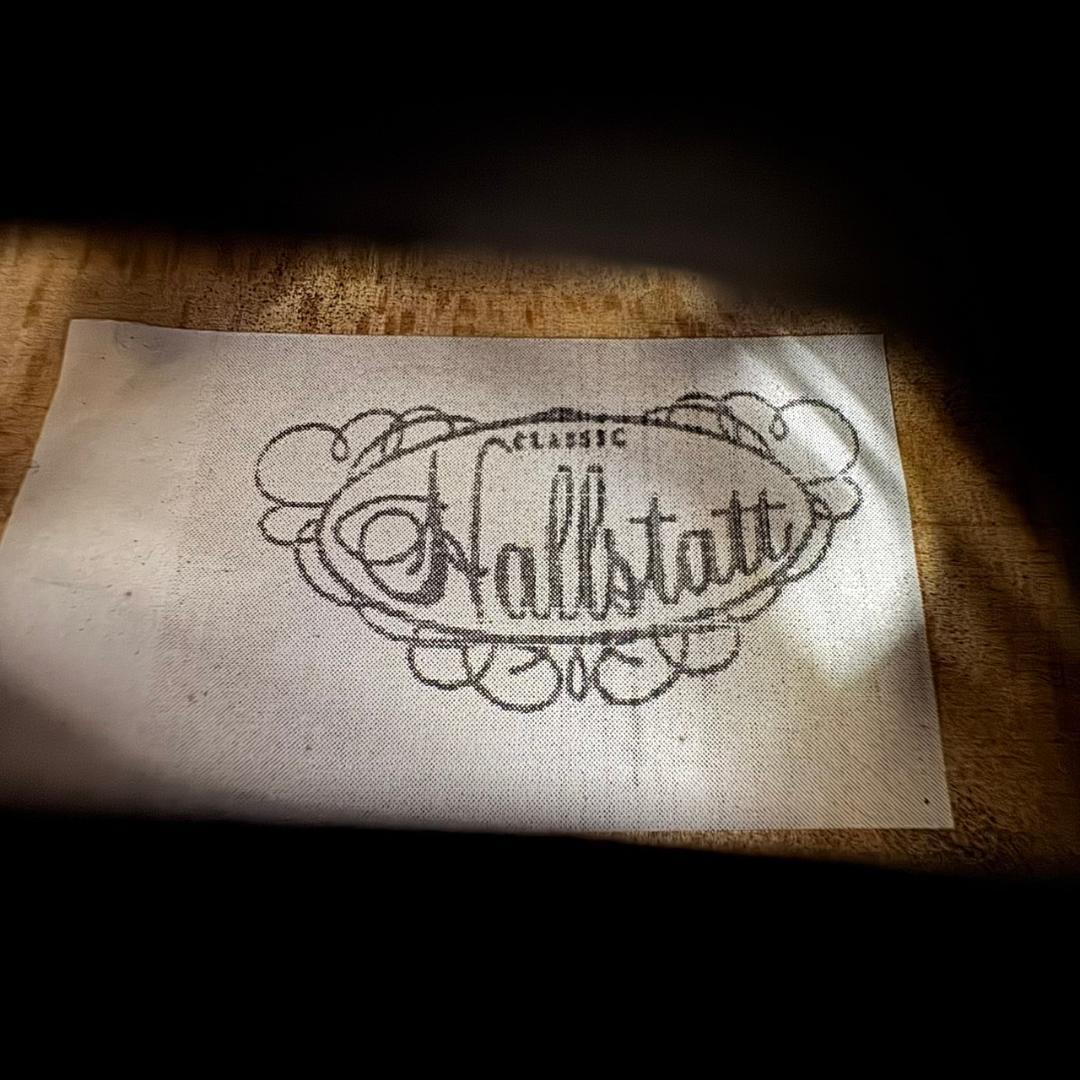 ☆ハルシュタット　エレキバイオリン　Hallstatt　CV-210E　4/4