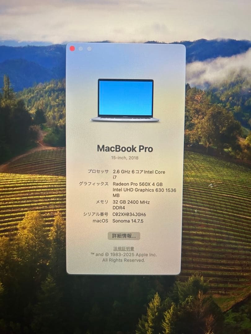 MacBook Pro 15インチ 2018 32GB / 500GB