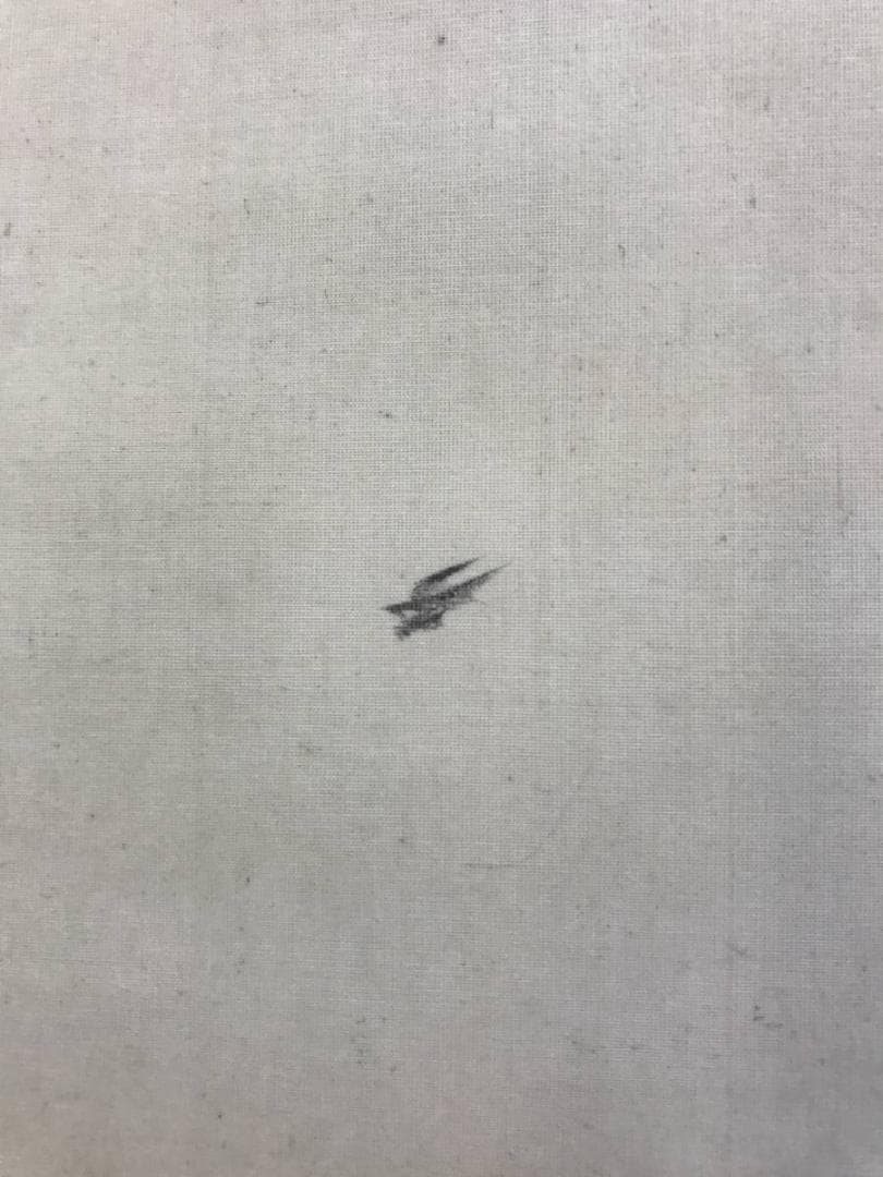 【真作】垣内雲隣/金閣寺雪景図/山水図/掛軸☆宝船☆AD-531