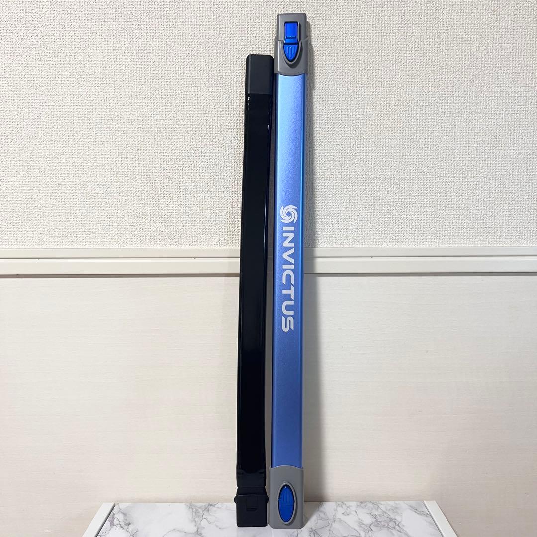 インビクタスワン スティッククリーナー 本体 +フィルター4個&ミニブラシ