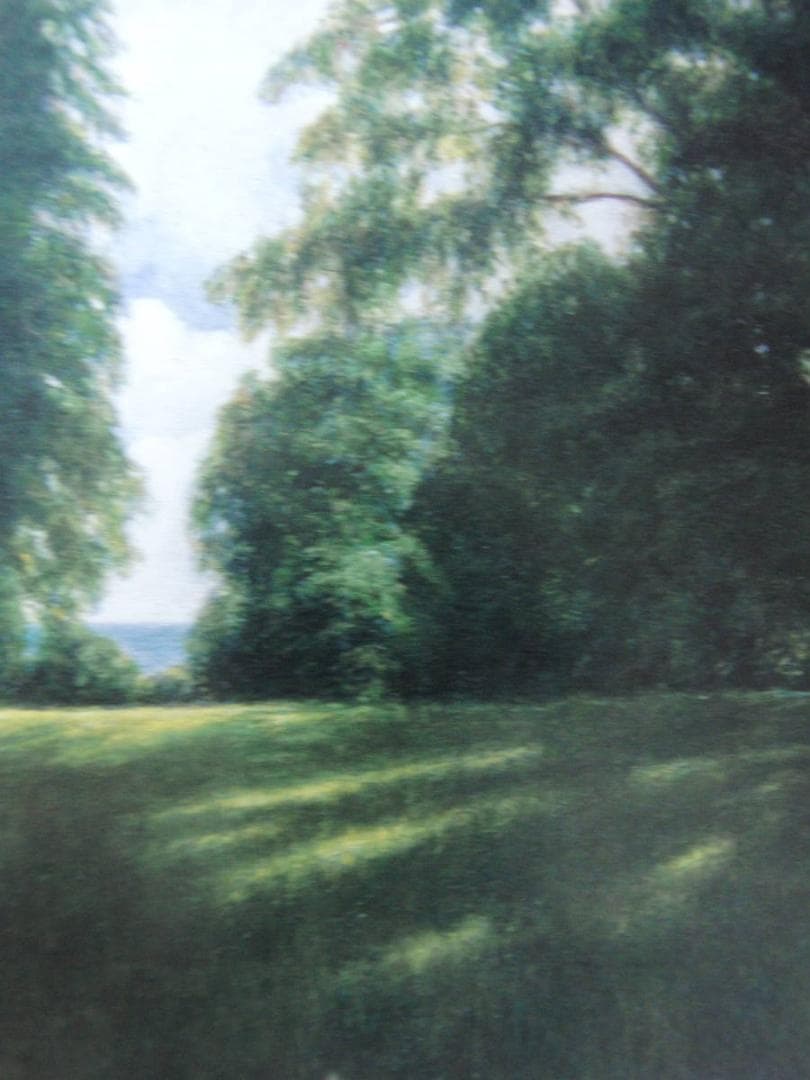 山本貞、【丘の光景】、希少な額装用画集より、新品額装付