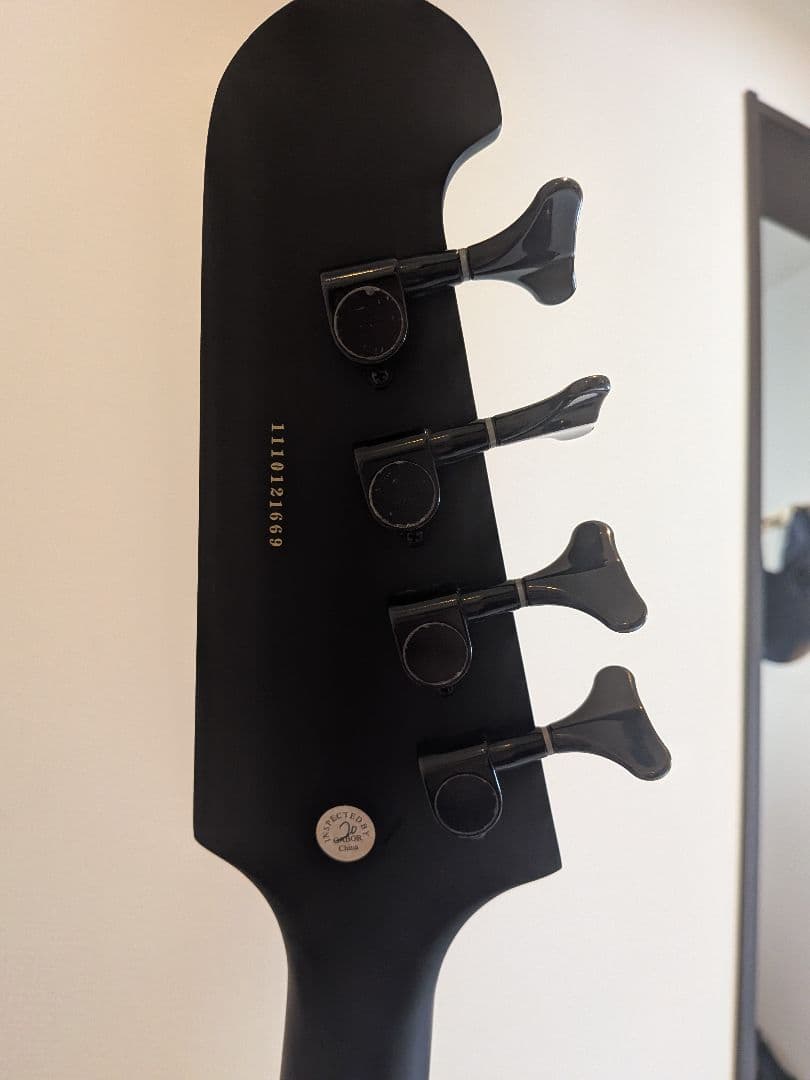 Epiphone ブラックバード　ニッキーシックス　サンダーバード