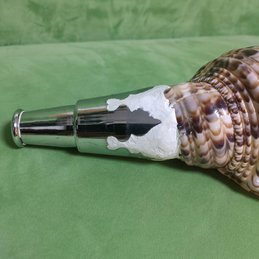 法螺貝　ホラ貝　クリスマス　プレゼント