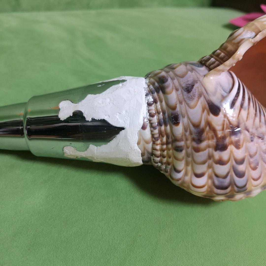 法螺貝　ホラ貝　クリスマス　プレゼント