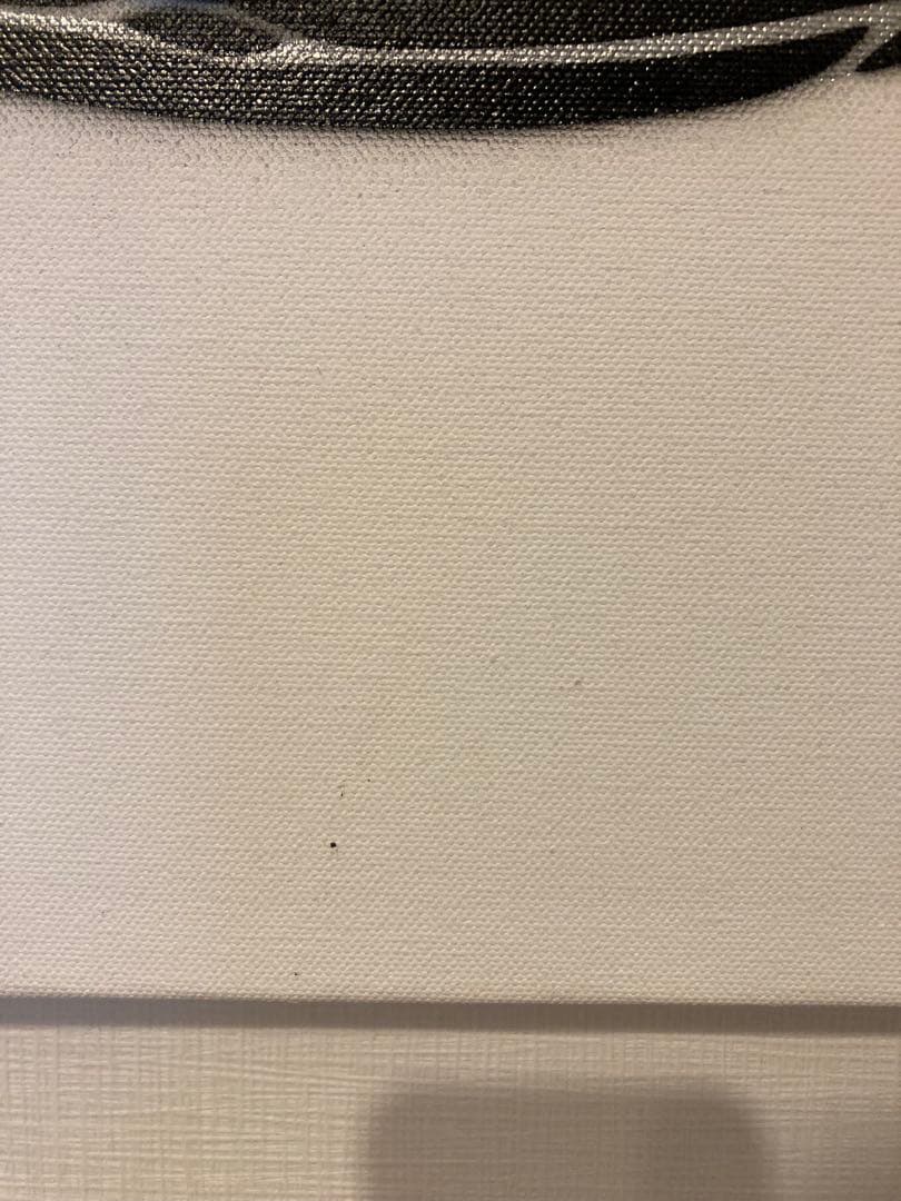 【貴重・特大キャンバス】テスコ　グラフィティスープ　ステンシル