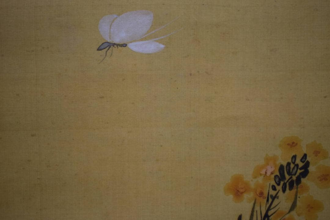 模写/酒井抱一/花蝶図/絹表装/布袋屋掛軸HG-231