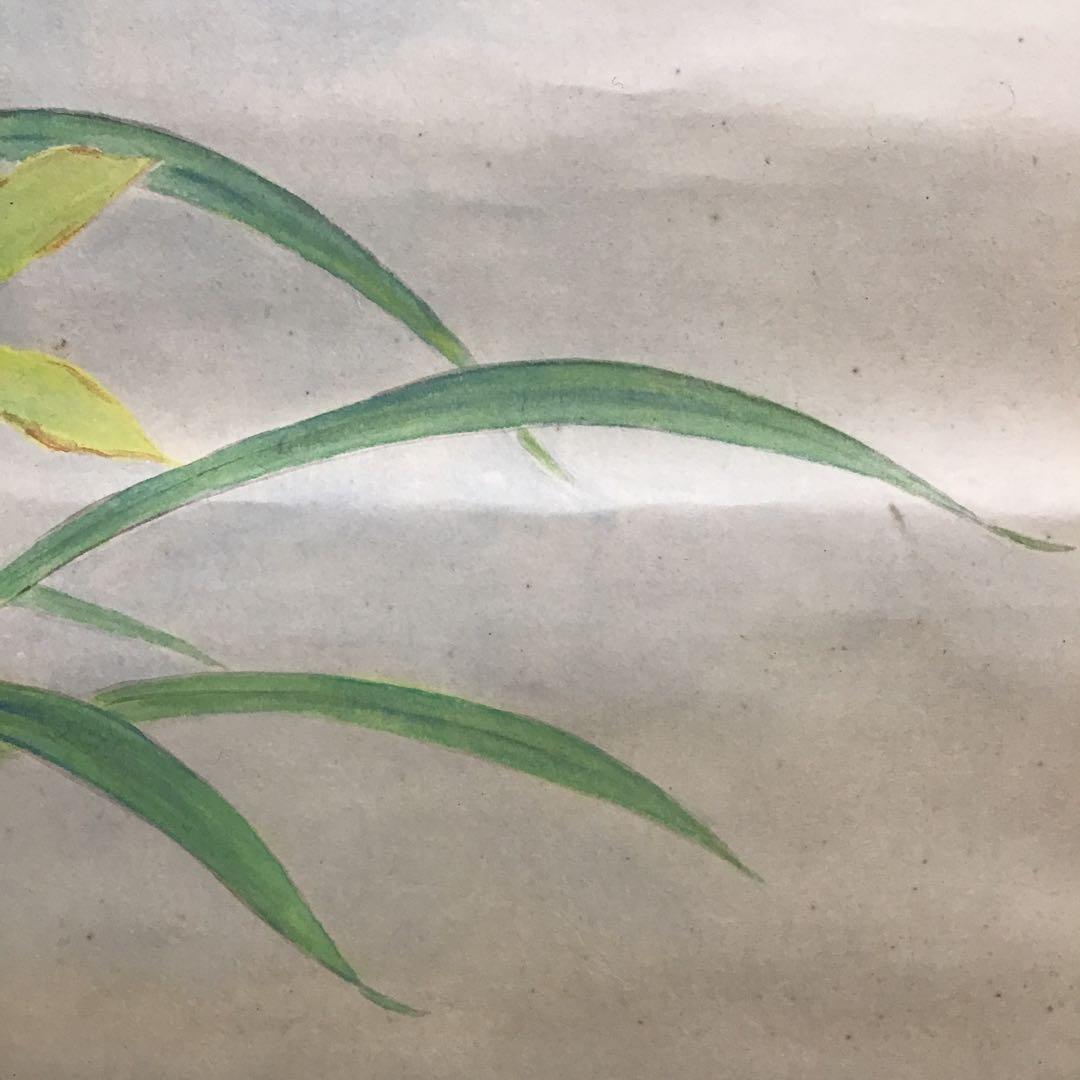 K茶道具　掛軸　「洋蘭の図」　古楊作　共箱　S1007KJ