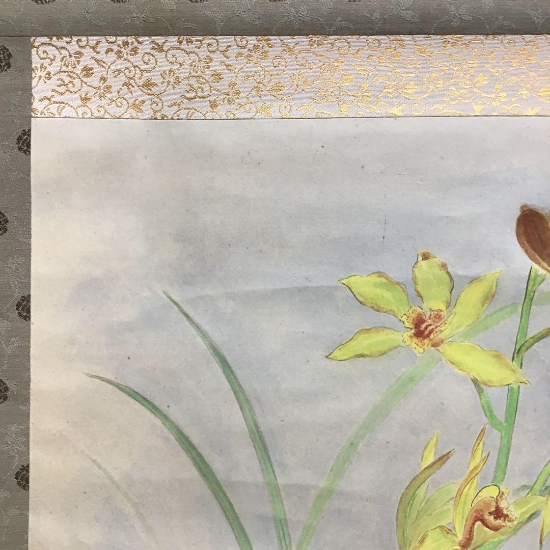 K茶道具　掛軸　「洋蘭の図」　古楊作　共箱　S1007KJ